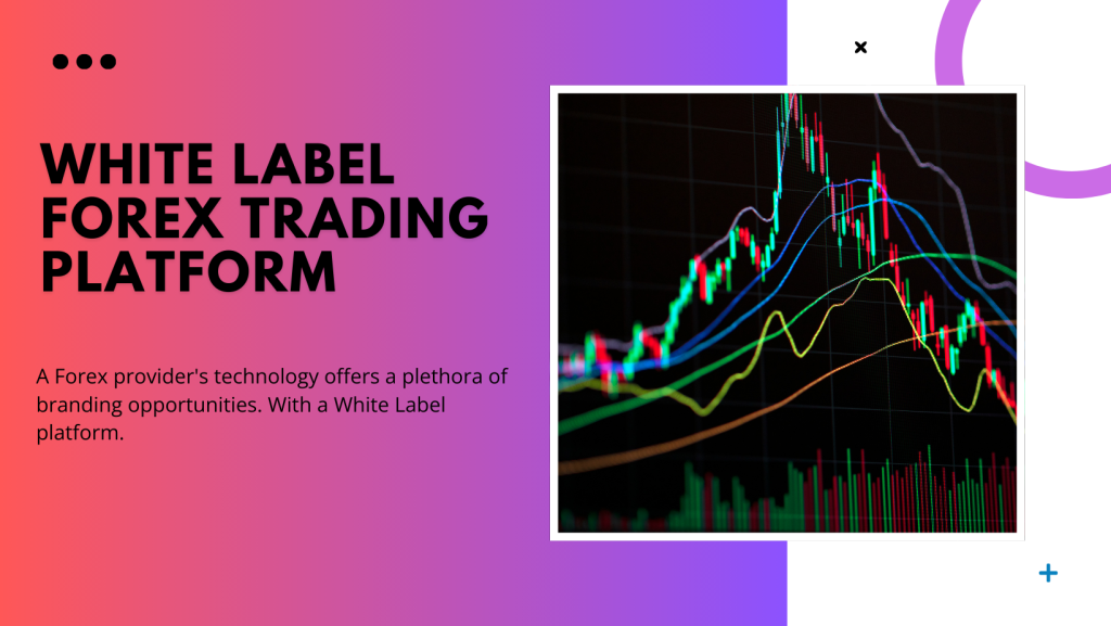 A guide to best mt5 white label solutions for forex broker in 2025?